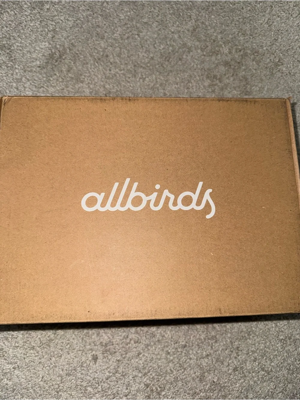 Allbirds Wool Cruiser Sneakers